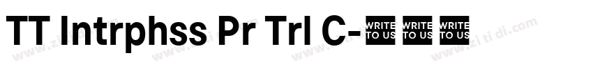 TT Intrphss Pr Trl C字体转换